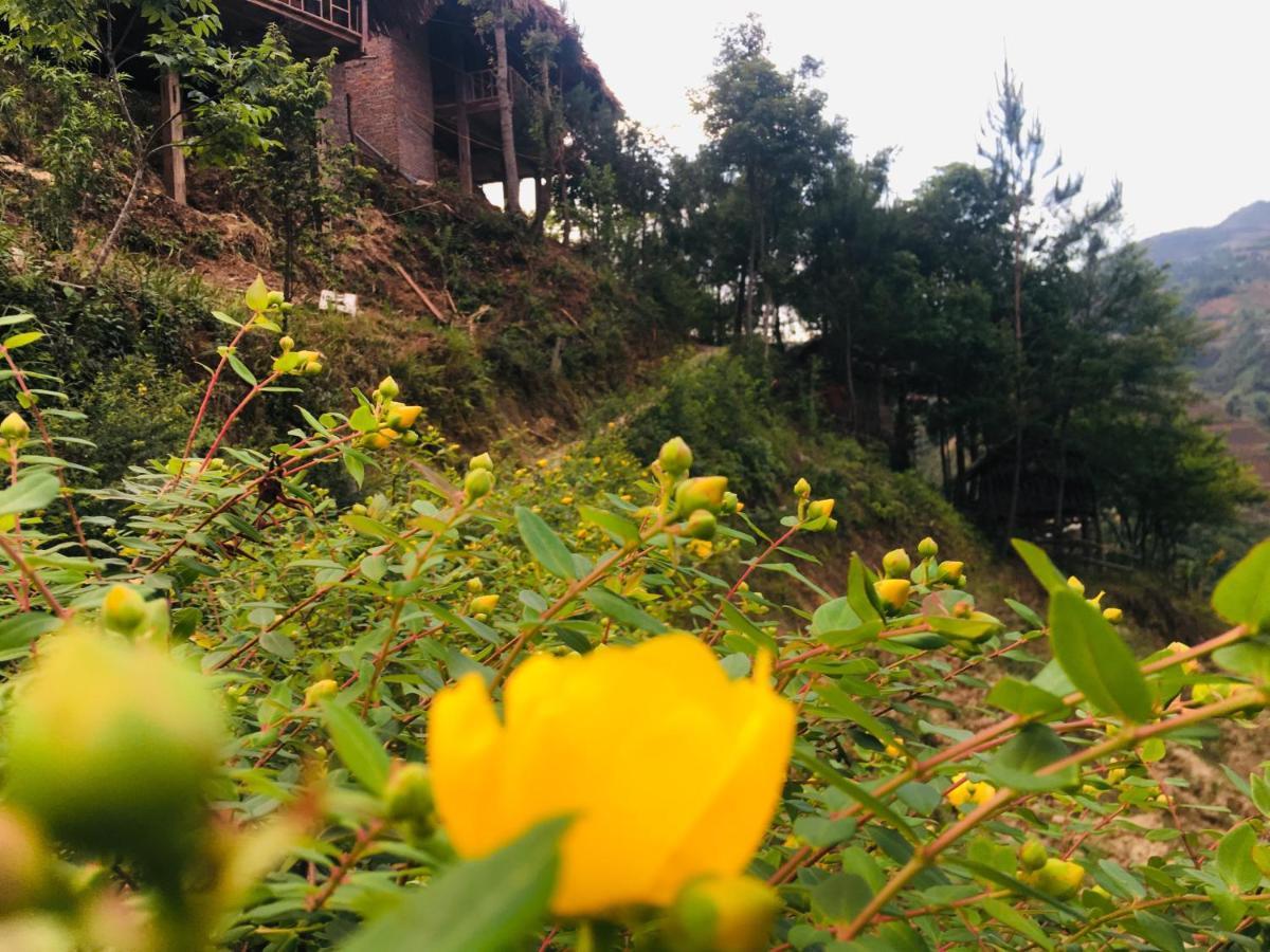 Hello Mu Cang Chai Homestay & Tours Exterior photo