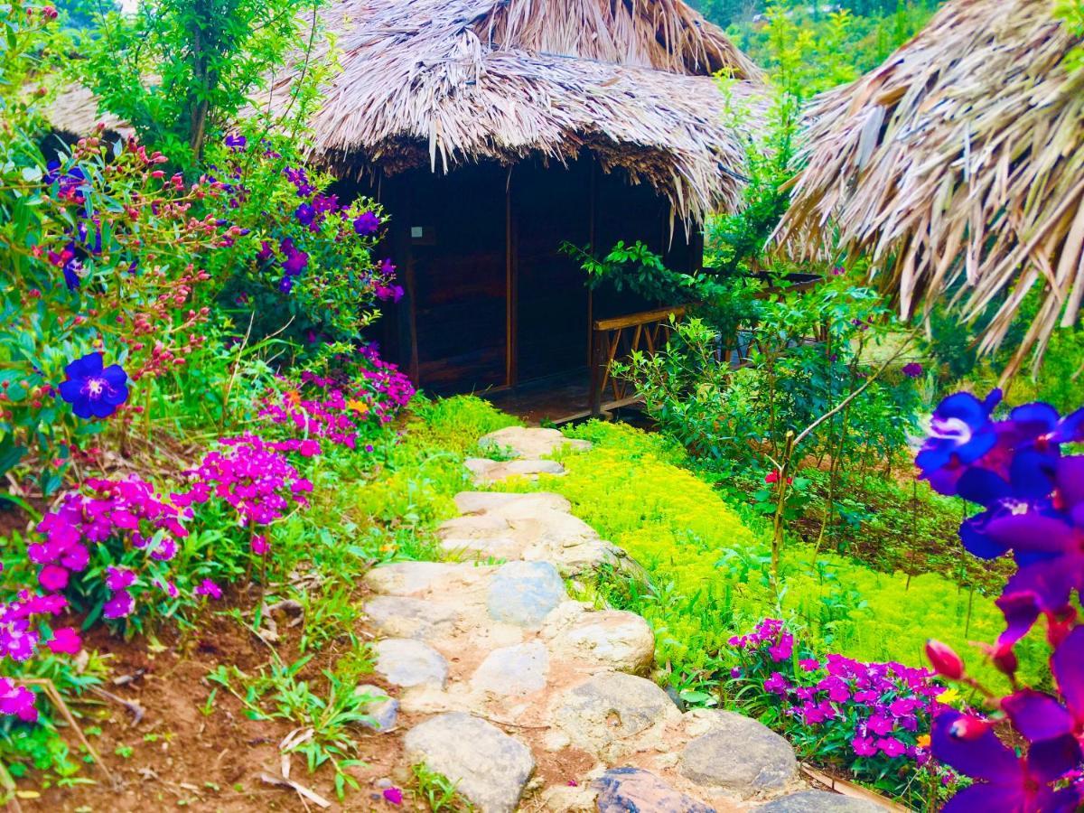 Hello Mu Cang Chai Homestay & Tours Exterior photo