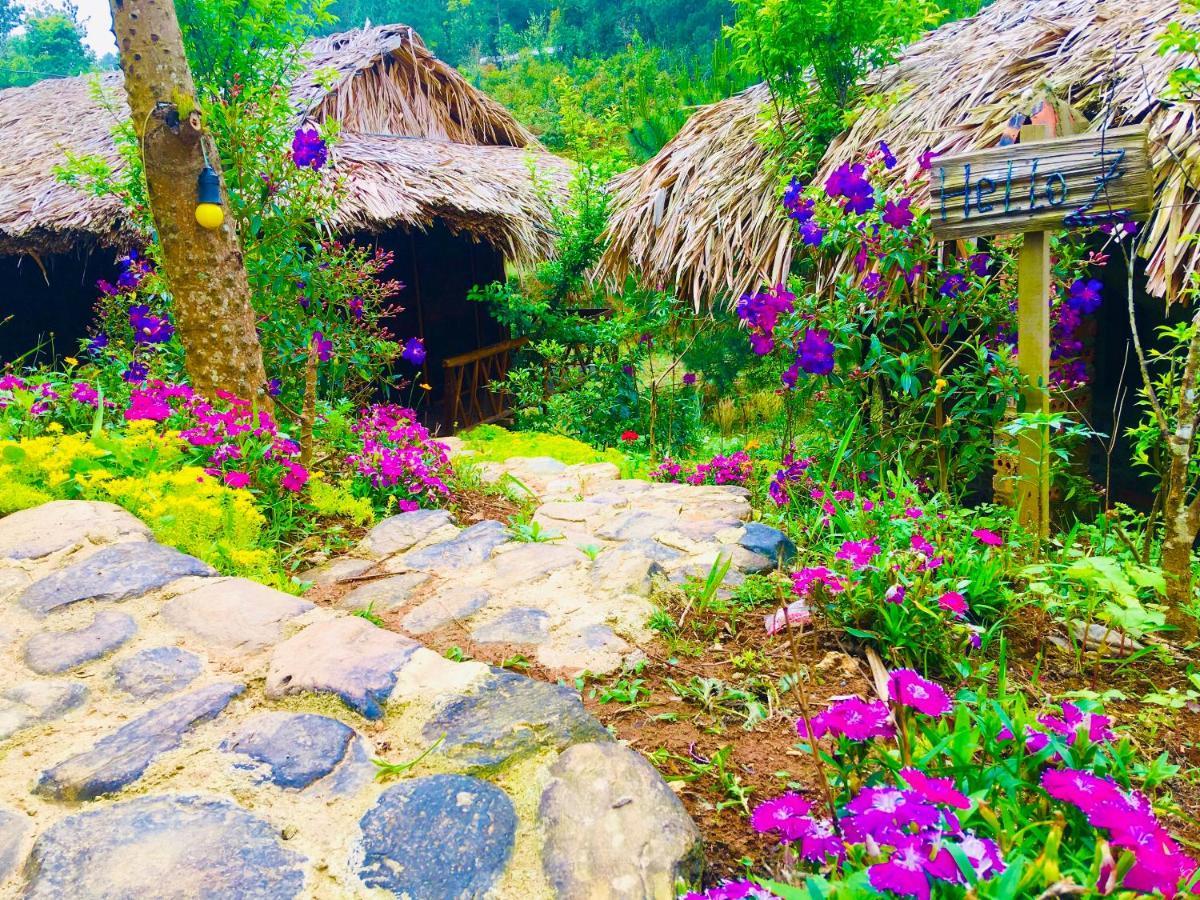 Hello Mu Cang Chai Homestay & Tours Exterior photo
