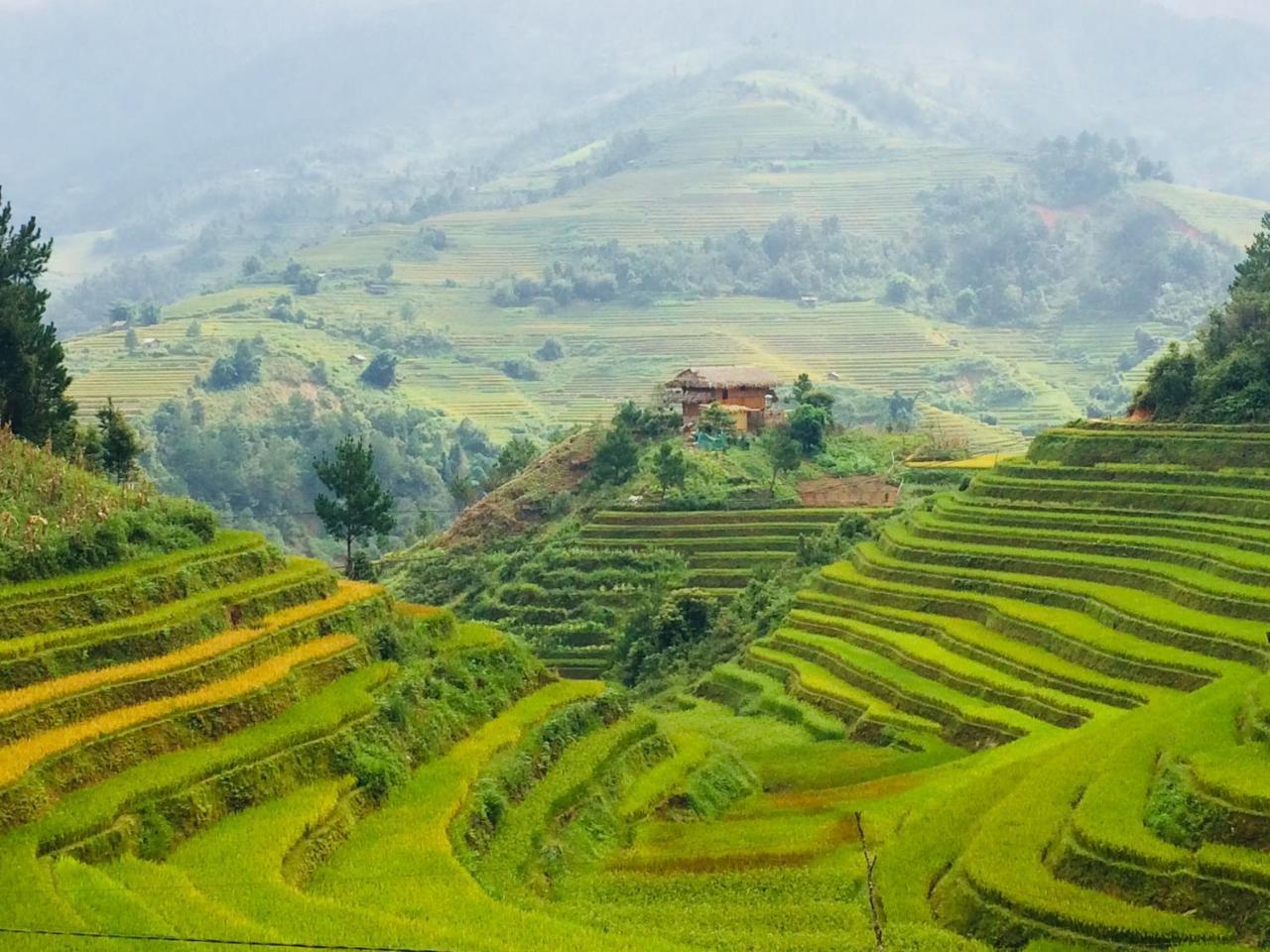 Hello Mu Cang Chai Homestay & Tours Exterior photo